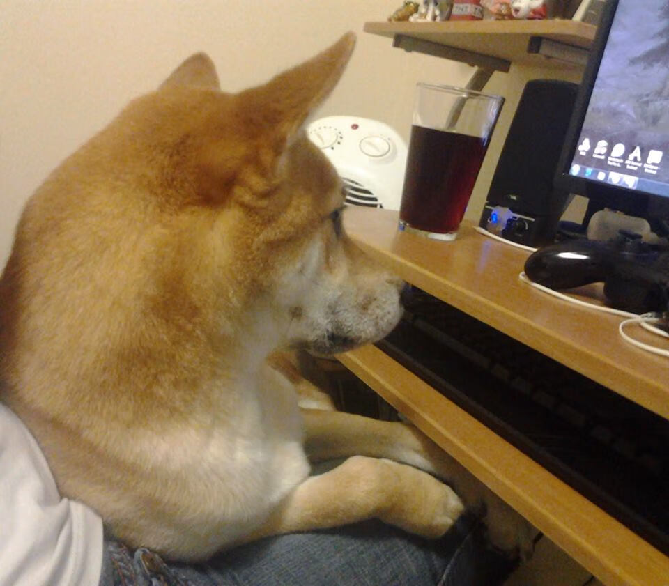 马拉松赛道增设音乐激励站点提升节奏感,马拉松跑步节奏音乐