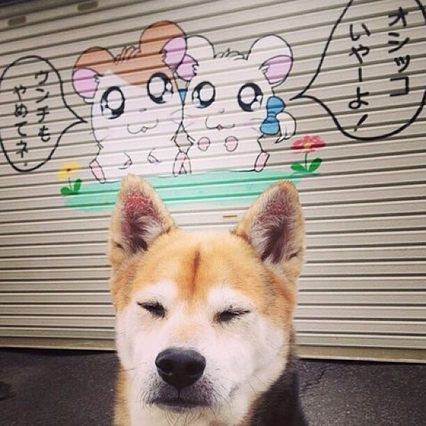 世界杯巅峰夜:破门、扑救、助攻精彩纷呈!,世界杯爆冷夺冠